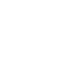 Logo von SBTL.ch- ohne Schriftzug